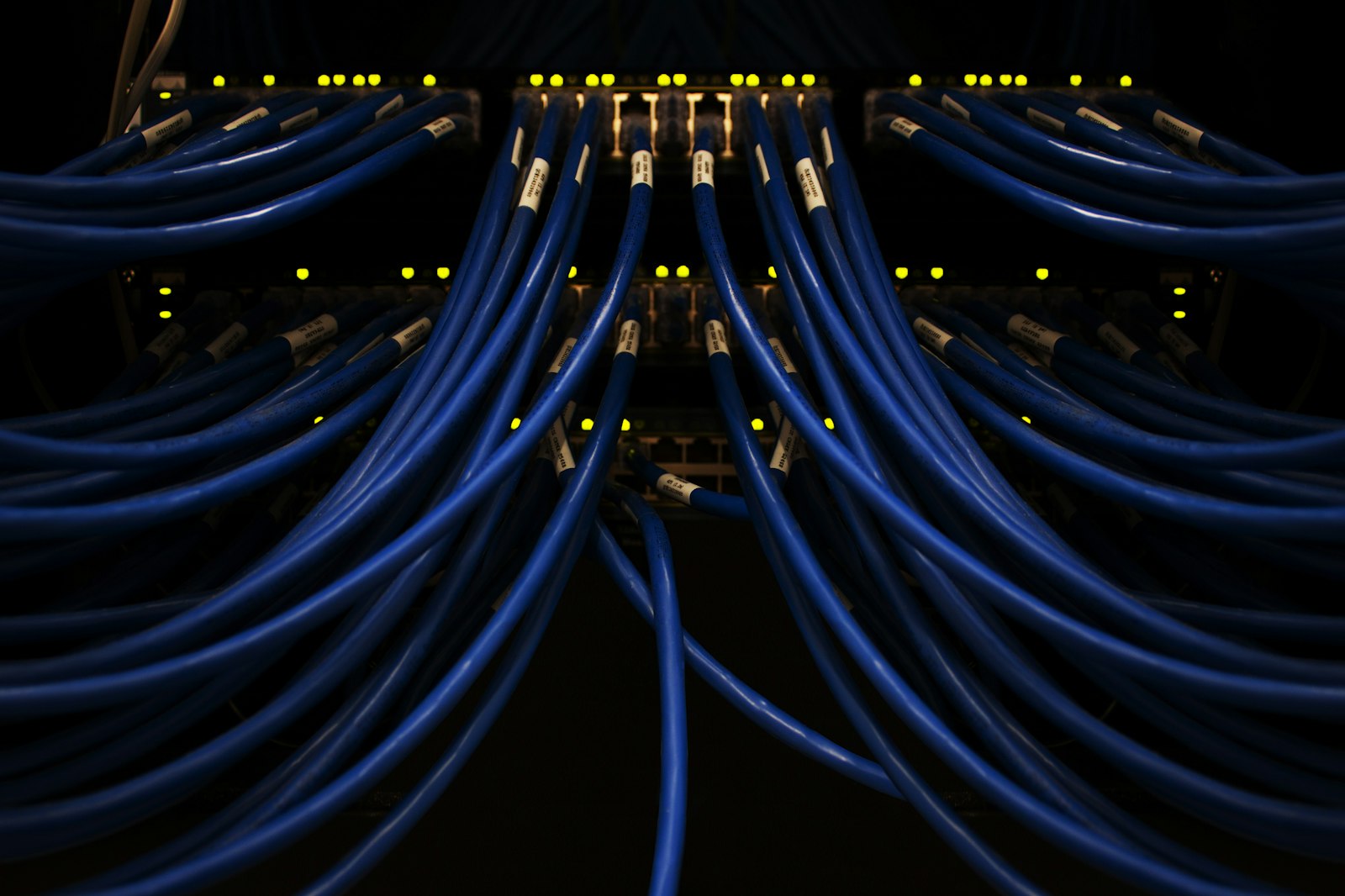 Cables de red conectados a un switch: automatización de marketing con inteligencia artificial